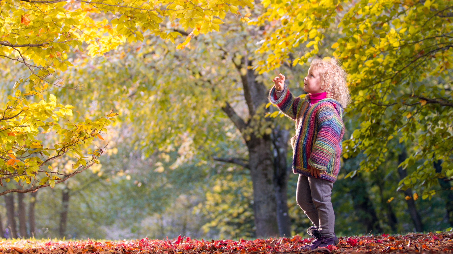 Sesion de fotos para book. Modelo de moda chica.
